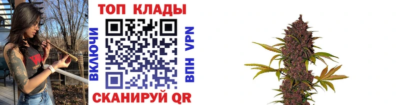 Купить закладку Яранск А ПВП  КОКАИН  АМФ  Канабис  Меф 