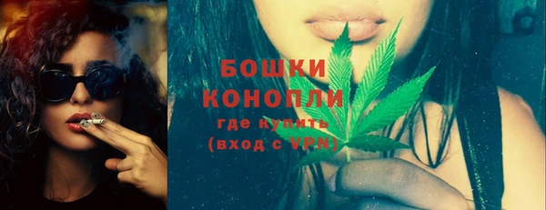 шишки Кукмор