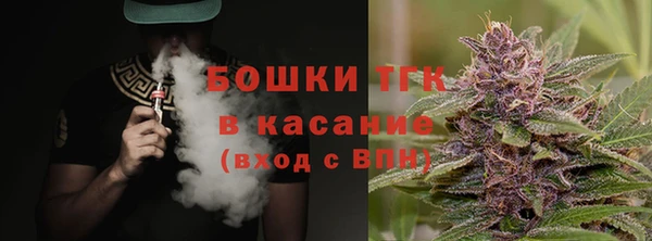 шишки Кукмор