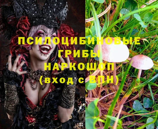 MESCALINE Куйбышев